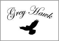 GREY HAWK