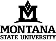 M MONTANA STATE UNIVERSITY