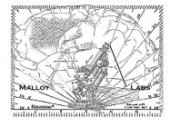 MALLOY LABS