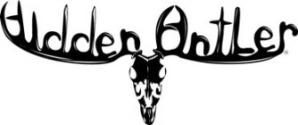 HIDDEN ANTLER