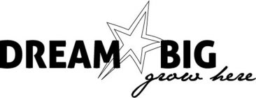 Image for trademark with serial number 85318994