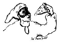 THE 