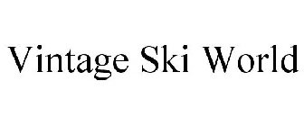 VINTAGE SKI WORLD