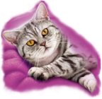 Image Trademark