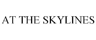 AT THE SKYLINES