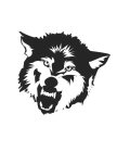 Image Trademark