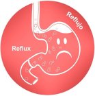 REFLUX REFLUJO