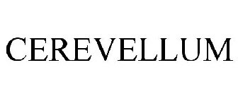 CEREVELLUM