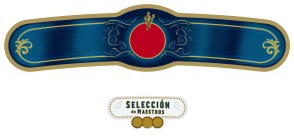 SELECCIÓN DE MAESTROS