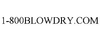 1-800BLOWDRY.COM