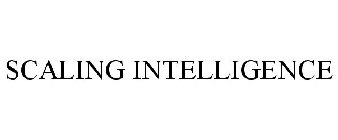 SCALING INTELLIGENCE