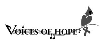 VOICES OF HOPE