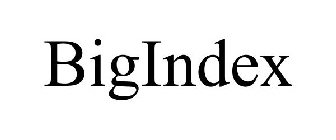 BIGINDEX