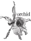 ORCHID