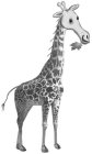 Image Trademark
