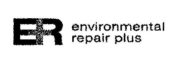 ER + ENVIRONMENTAL REPAIR PLUS