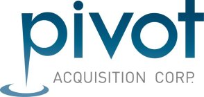 PIVOT ACQUISITION CORP.