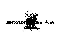 HORN STAR