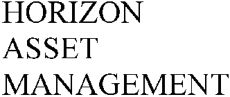 HORIZON ASSET MANAGEMENT