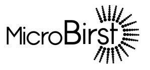 MICROBIRST