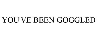 YOU'VE BEEN GOGGLED