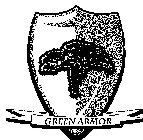 GREEN ARMOR