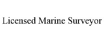 LICENSED MARINE SURVEYOR