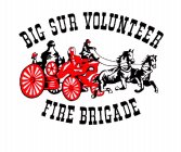 BIG SUR VOLUNTEER FIRE BRIGADE