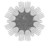 Image Trademark