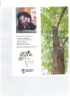 LINDEN TREE PRESCHOOL CHRIST CHURCH COBBLE HILL