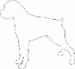 Image Trademark