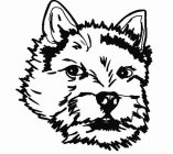Image Trademark