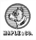 M MAPLE & CO.
