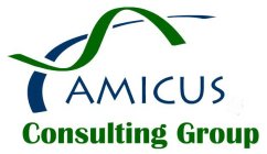 AMICUS CONSULTING GROUP
