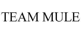 TEAM MULE