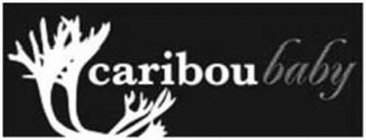CARIBOU BABY