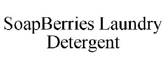 SOAPBERRIES LAUNDRY DETERGENT