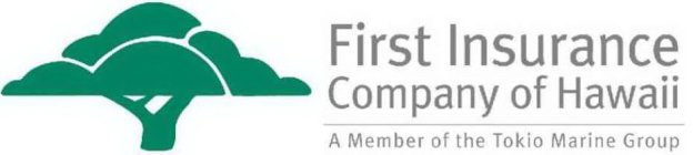 FIRST INSURANCE COMPANY OF HAWAII A MEMBER OF THE TOKIO MARINE GROUP