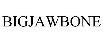 BIGJAWBONE