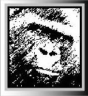 Image Trademark
