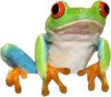 Image Trademark