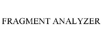 FRAGMENT ANALYZER