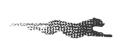 Image Trademark