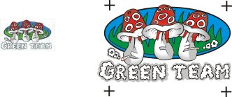 GREEN TEAM