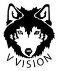 V VISION