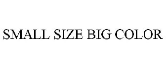 SMALL SIZE BIG COLOR