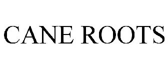 CANE ROOTS