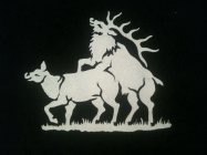 Image Trademark