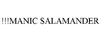 !!!MANIC SALAMANDER