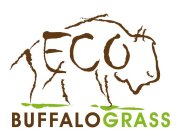 ECO BUFFALOGRASS